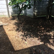 除草剤散布と草むしり作業